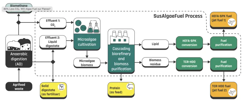 SusAlageFuel Process Diagram